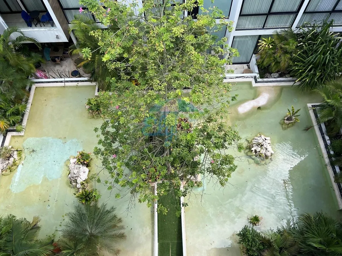 דירה פלאייה דל כרמן Anah Downtown Luxury Condo